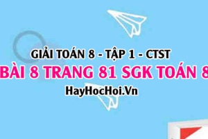 Giải bài 8 trang 81 Toán 8 Tập 1 SGK Chân trời sáng tạo